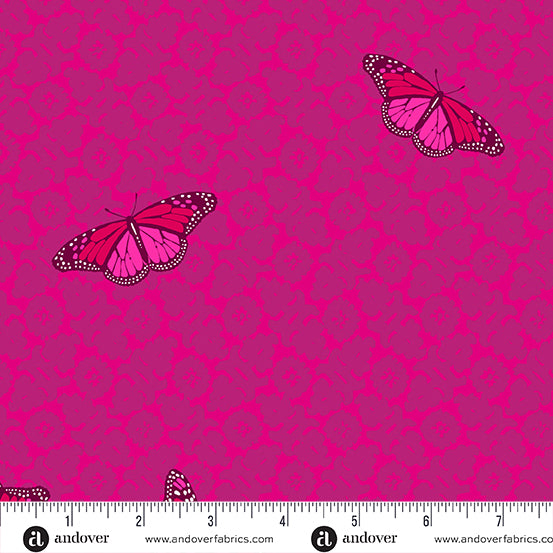 Sun Print 2024 25cm A1013E