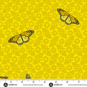 Sun Print 2024 25cm A1013Y