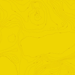 Sun Print 2023 25cm A556Y