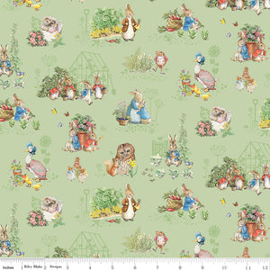 Peter Rabbit & Freinds 25cm CD15861 Fern
