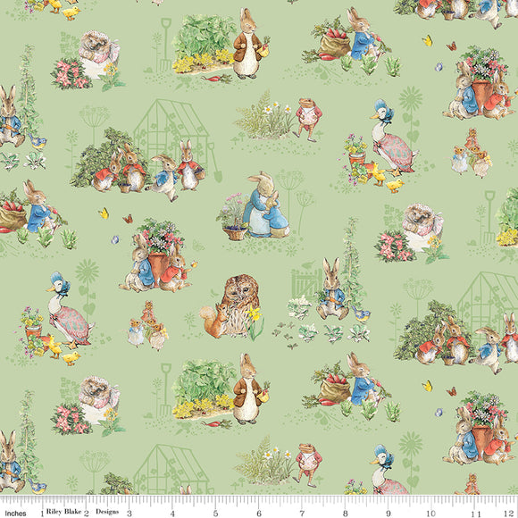 Peter Rabbit & Freinds 25cm CD15861 Fern