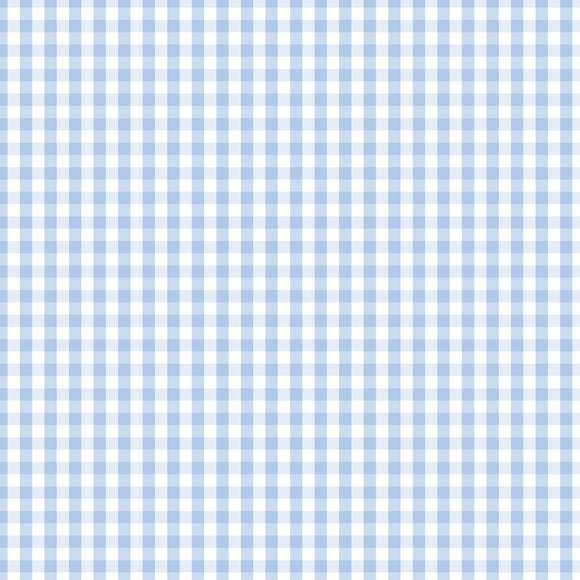 Fundamentals Check 25cm DV2859 Partly Cloudy