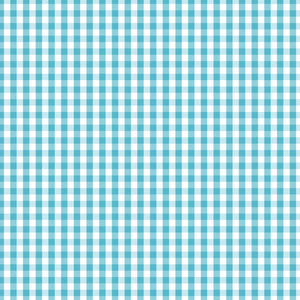 Fundamentals Check 25cm DV2864 Barrier Blue