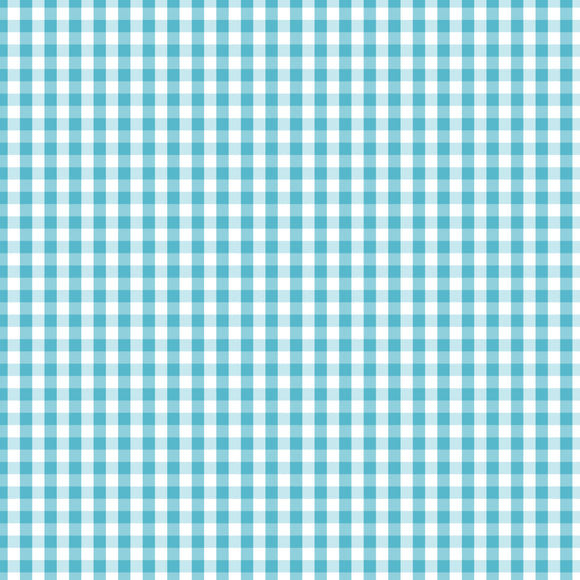 Fundamentals Check 25cm DV2864 Barrier Blue