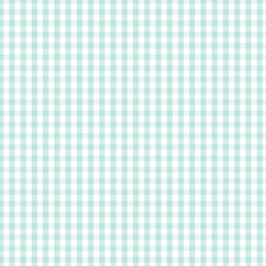 Fundamentals Check 25cm DV2874 Seafoam