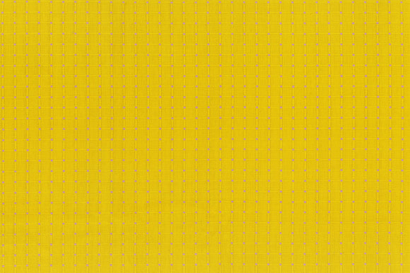 Garden Variety 25cm WAMT100-54V Seeds Vintage - Anna Maria