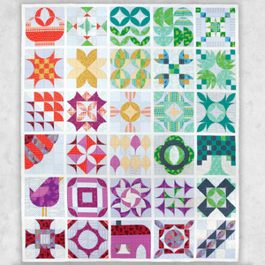 Mod Sampler Quilt - Block of the Month