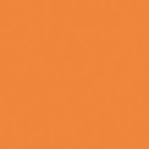 C100-72 Pumpkin