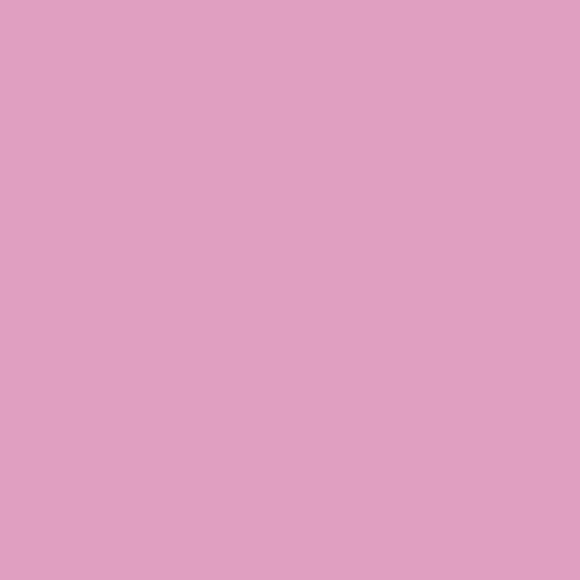 Confetti Rose