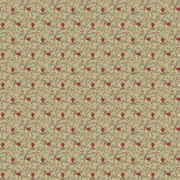 Evandale - C5273 Green