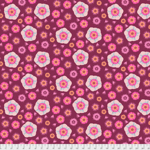 English Summer PWAM002 Taffy