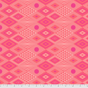 Daydreamer 25cm PWTP096 Dragonfruit - Tula Pink