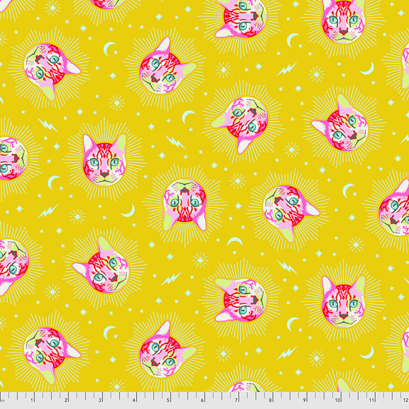 Curiouser & Curiouser 25cm PWTP164 Wonder - Tula Pink